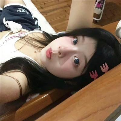 拜访森林